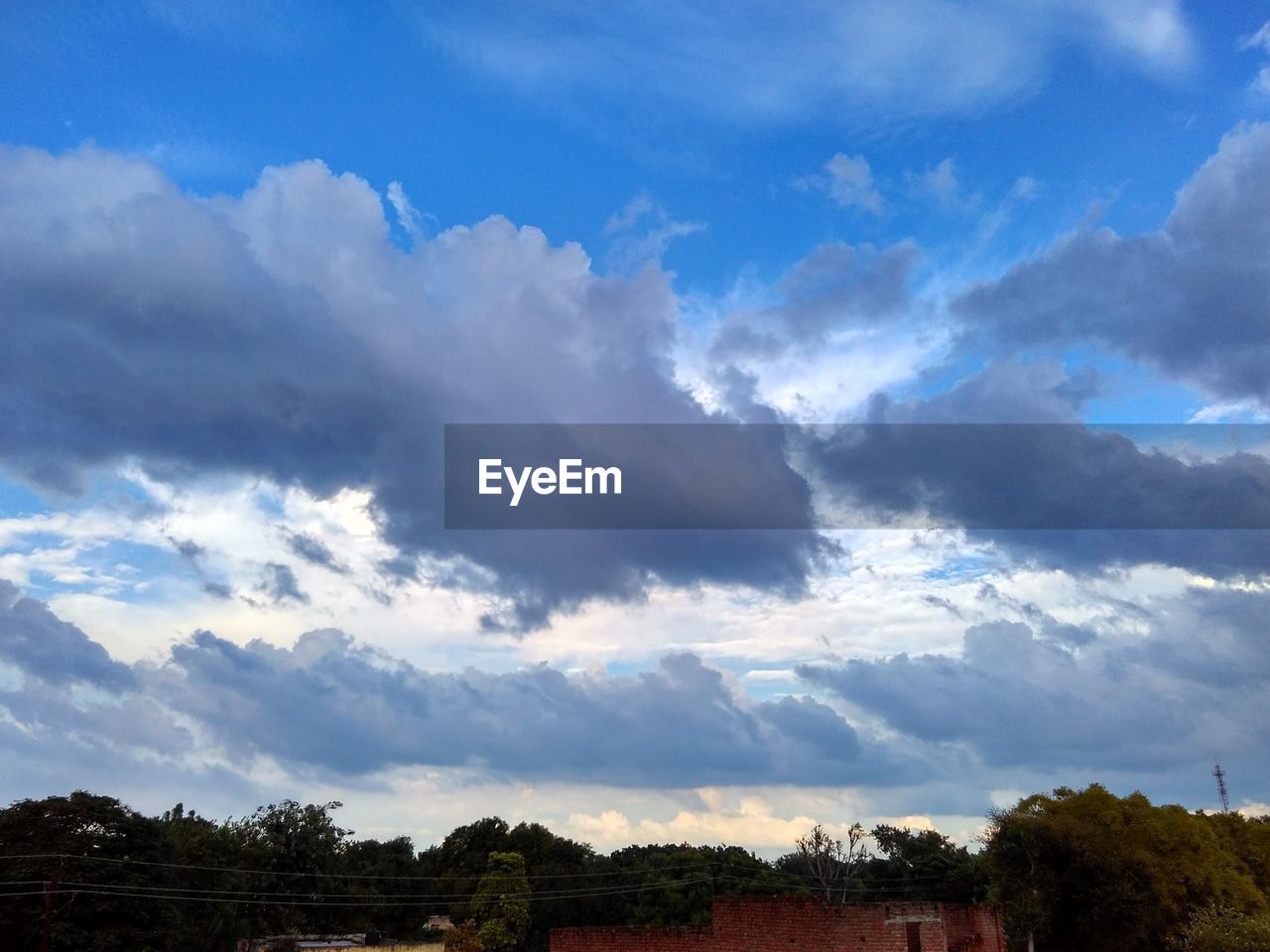 TREES ON LANDSCAPE AGAINST CLOUDY SKY