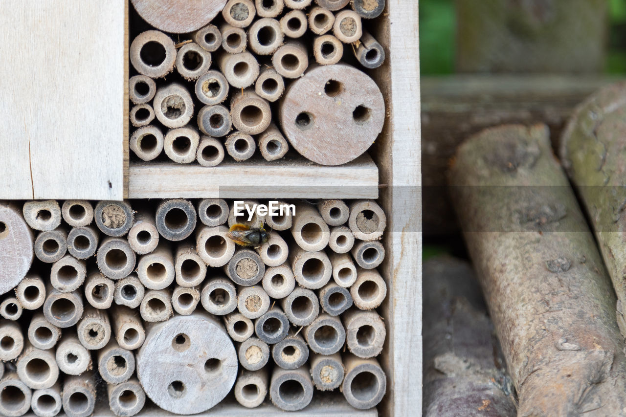 An insect hotel for bees, wasps and other insects made of old wood.