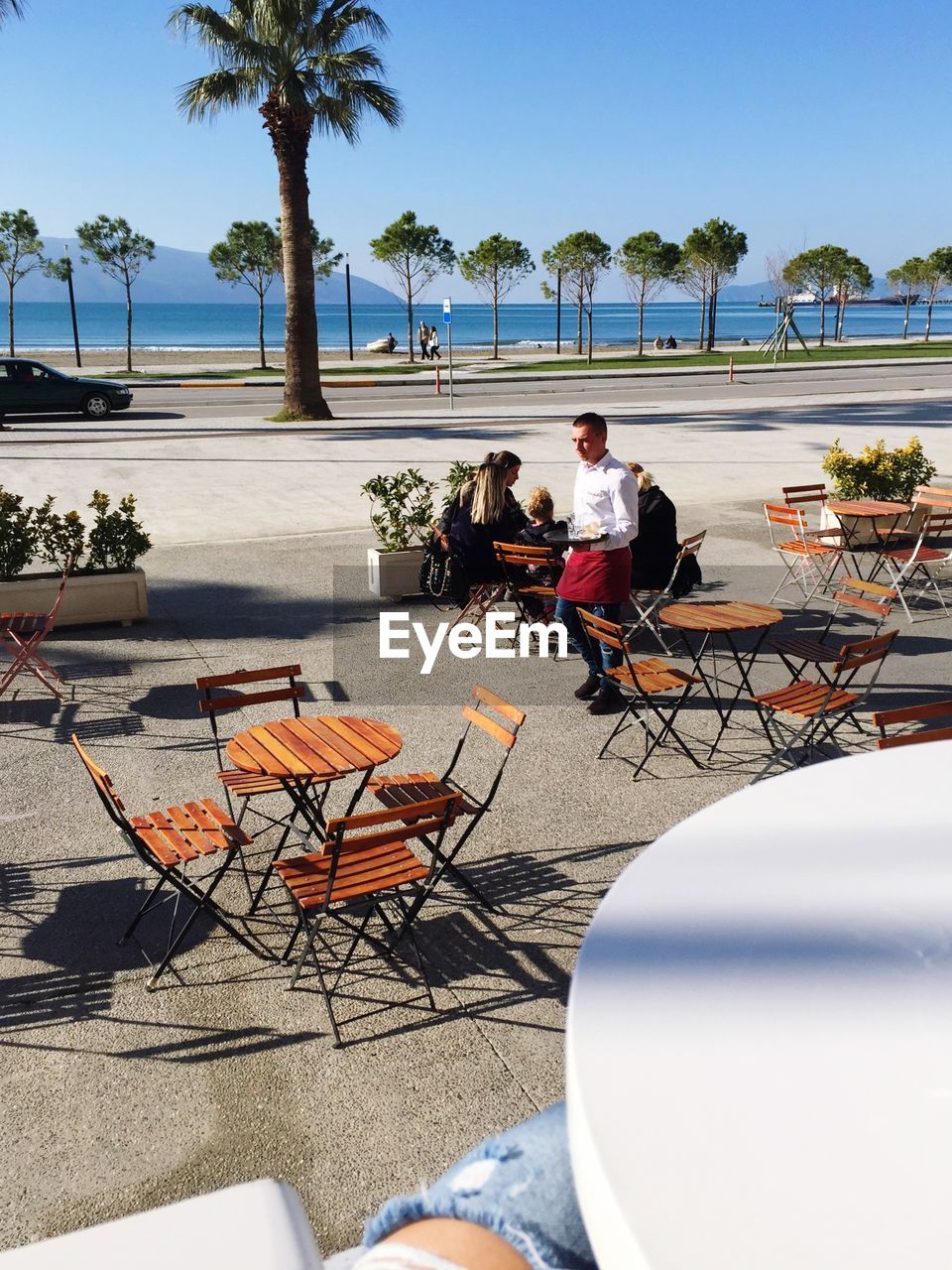 PEOPLE SITTING ON CHAIR AGAINST PALM TREES