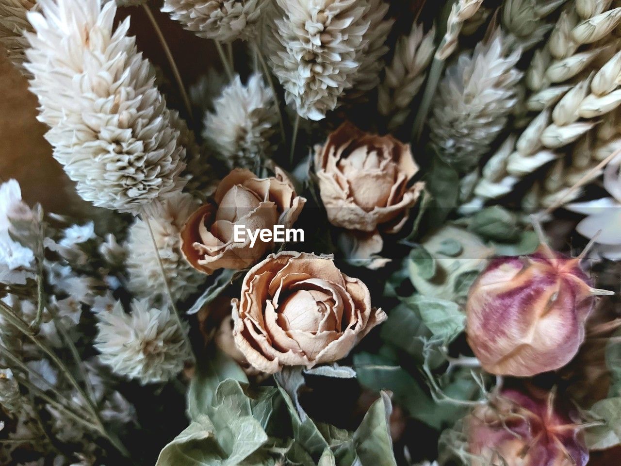 plant, flower, flowering plant, beauty in nature, nature, close-up, no people, freshness, floristry, flower head, floral design, fragility, spring, bouquet, petal, branch, leaf, plant part, inflorescence, high angle view, growth, outdoors