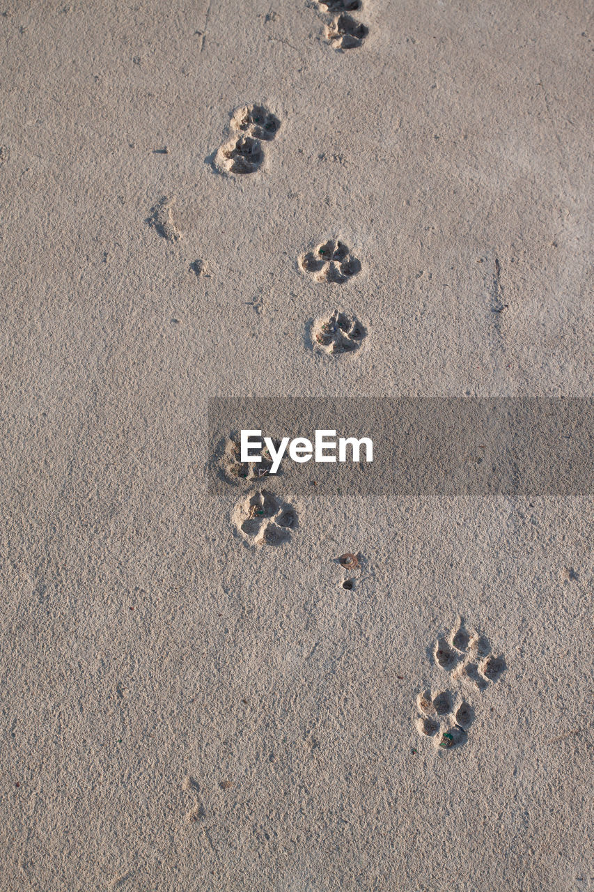 HIGH ANGLE VIEW OF FOOTPRINTS ON BEACH