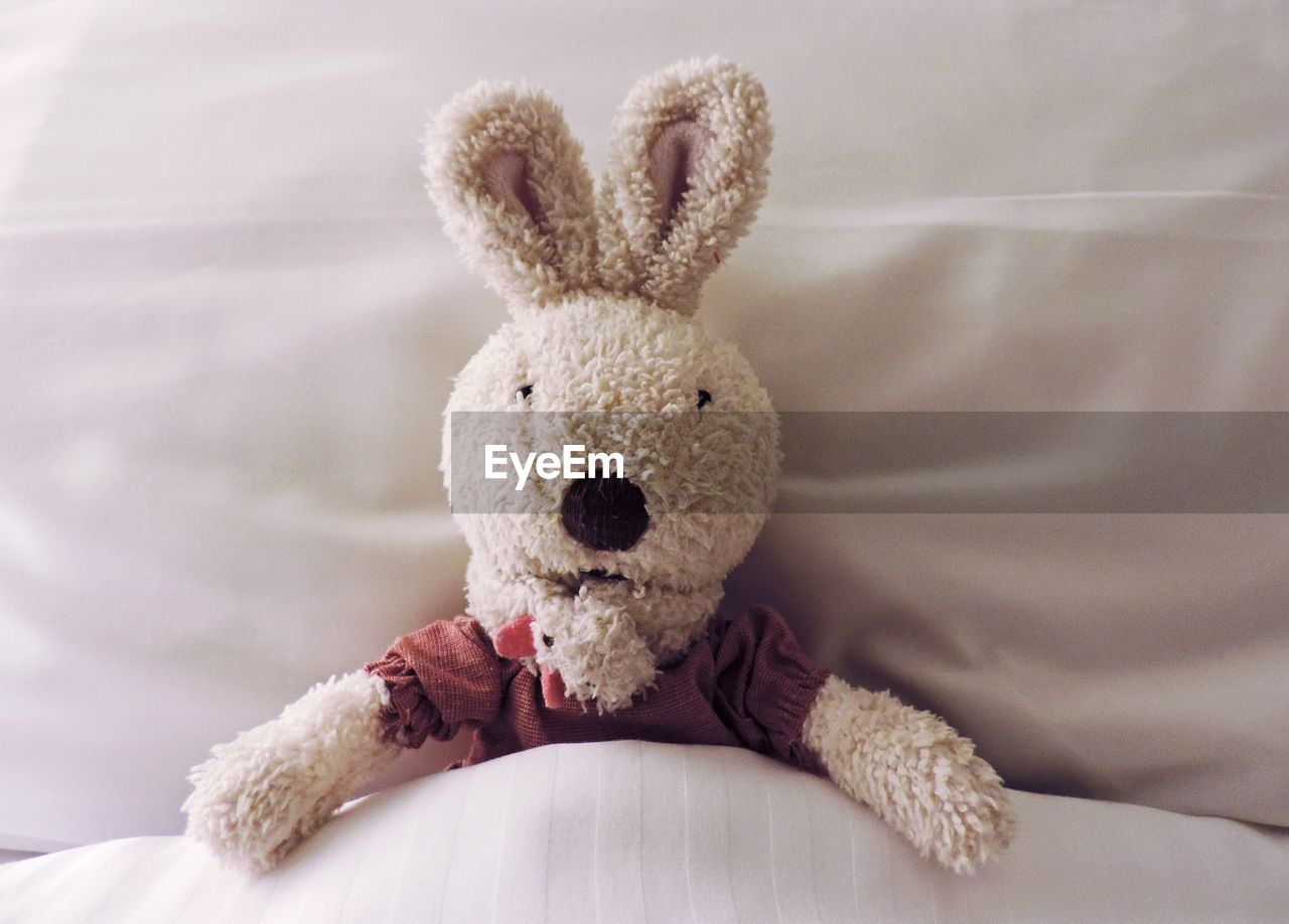 Bunny soft toy tucked into bedsheet
