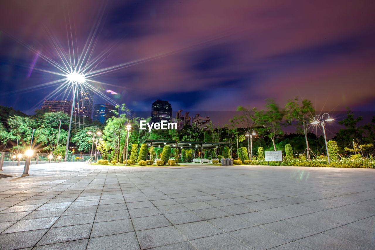 ILLUMINATED STREET LIGHTS BY TREES AT NIGHT