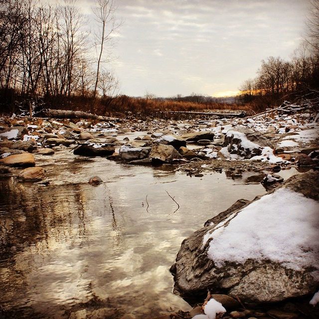 REFLECTION OF TREES IN RIVER