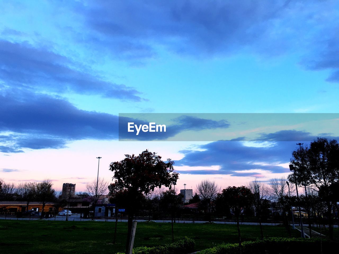 SILHOUETTE OF TREES ON FIELD AGAINST CLOUDY SKY
