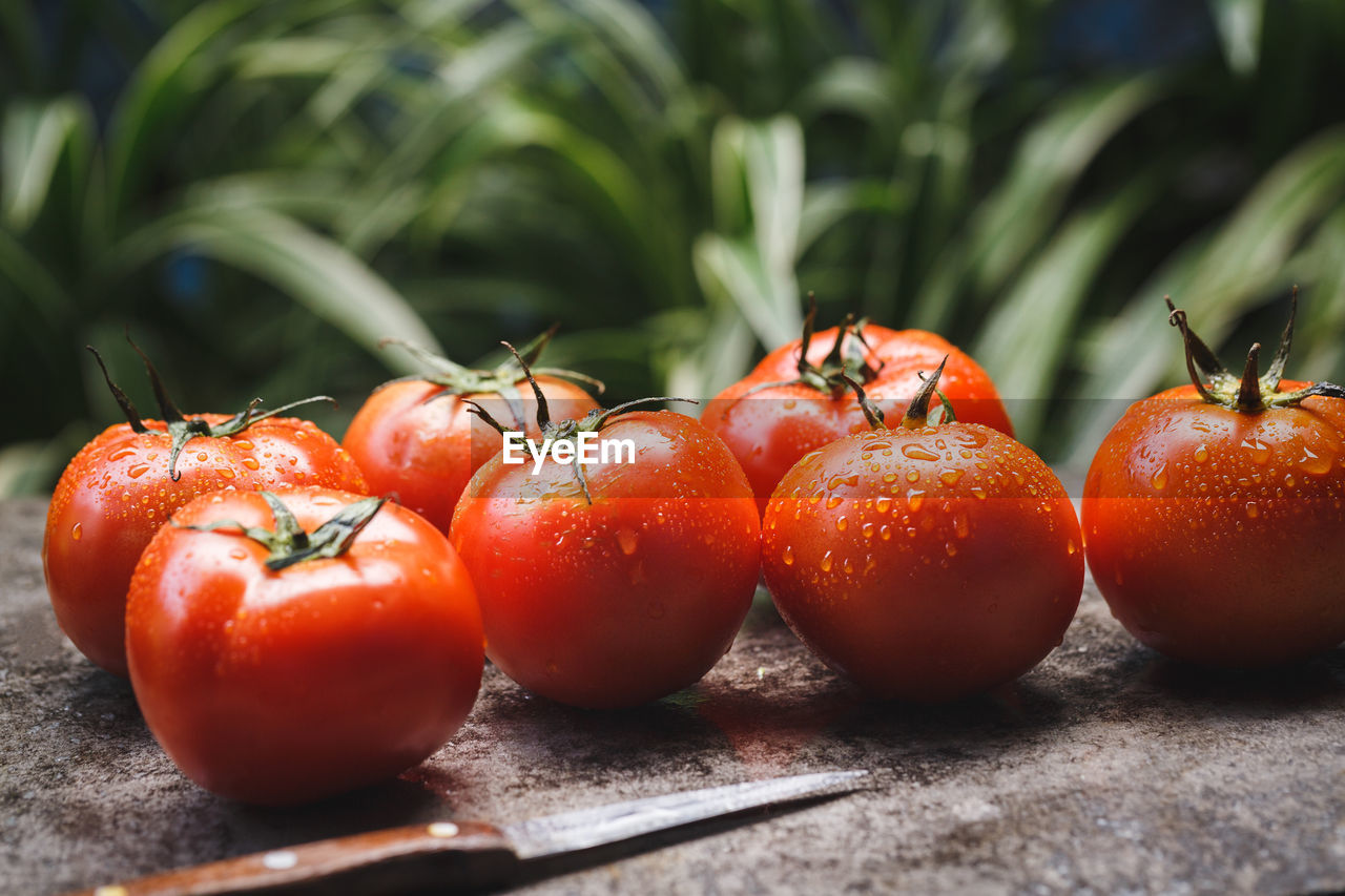 Fresh tomatoes- ingredient for cooking