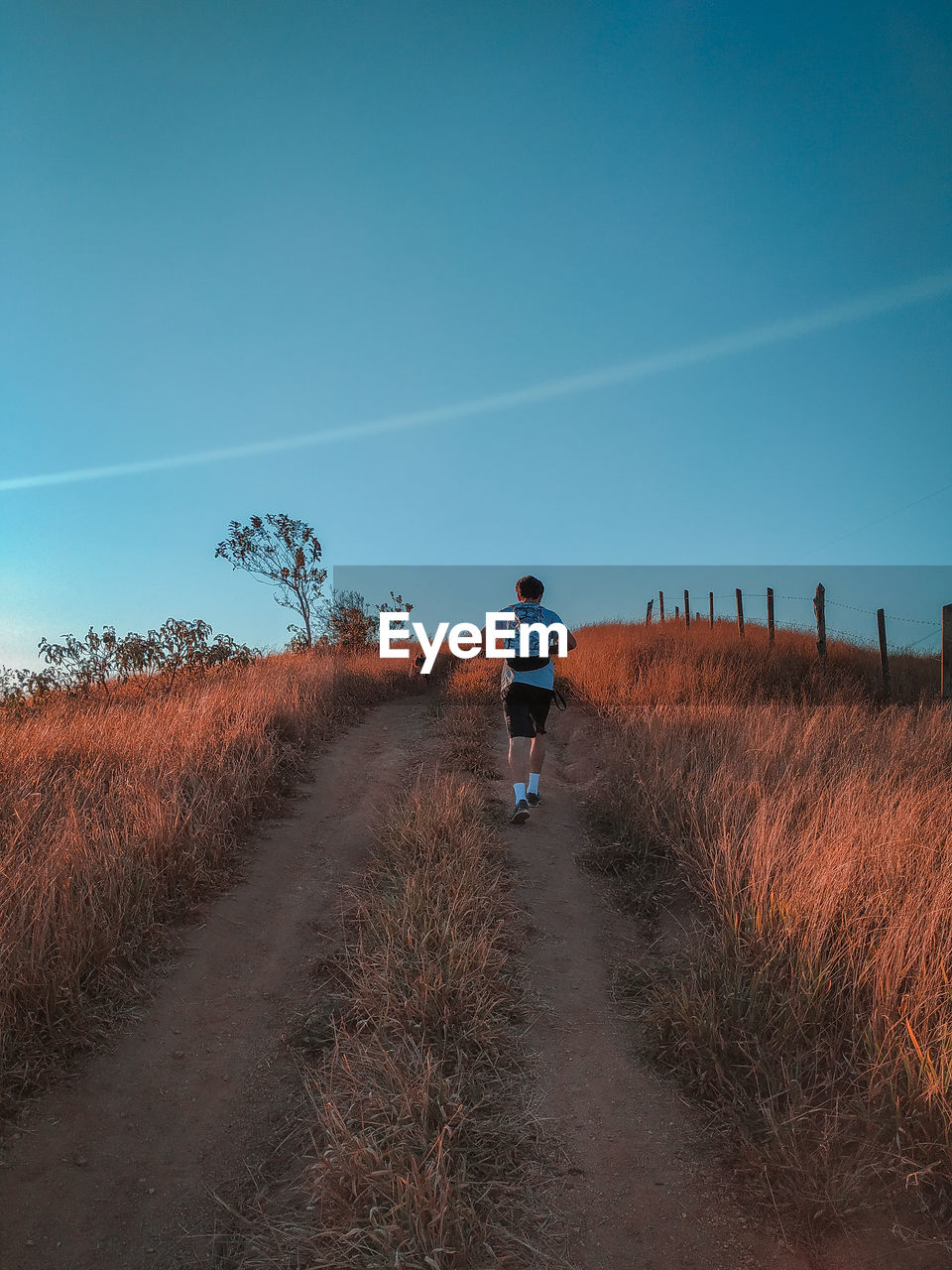 Rear view of man walking on field against sky