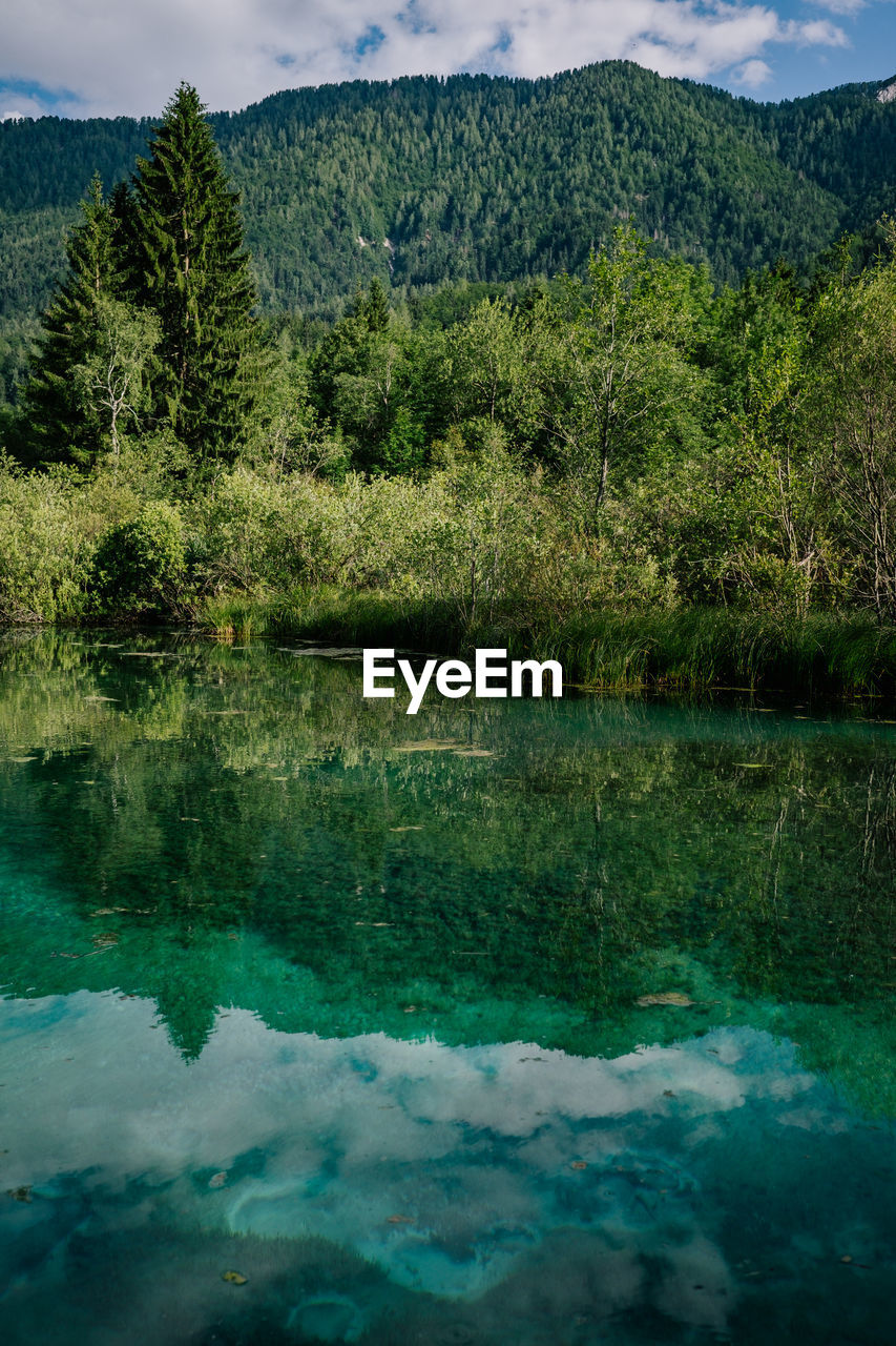 SCENIC VIEW OF LAKE BY TREE MOUNTAIN AGAINST SKY