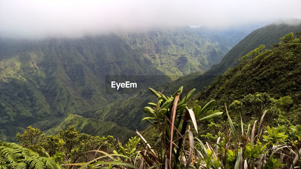 SCENIC VIEW OF MOUNTAINS AGAINST SKY DURING FOGGY WEATHER