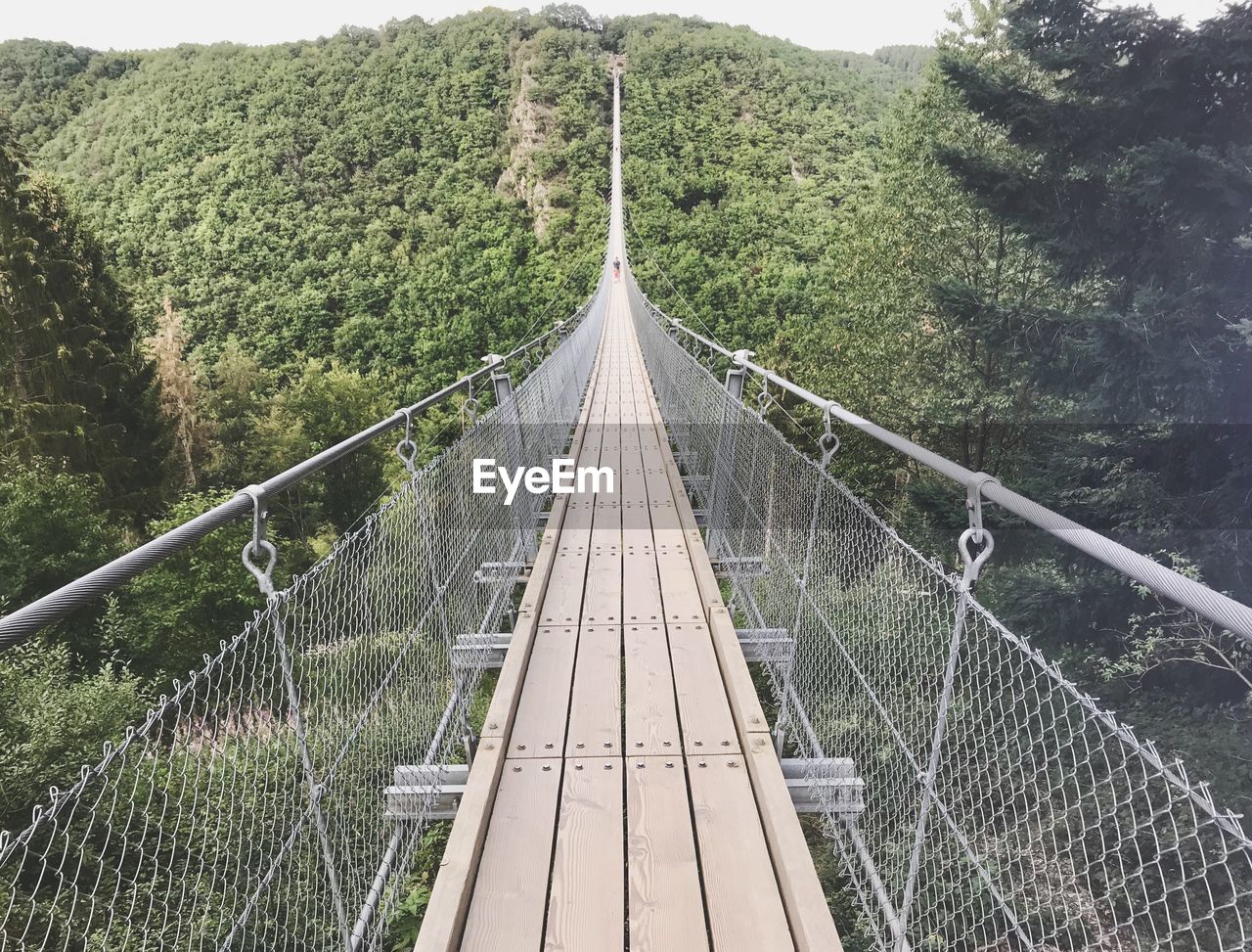 Footbridge amidst trees in forest