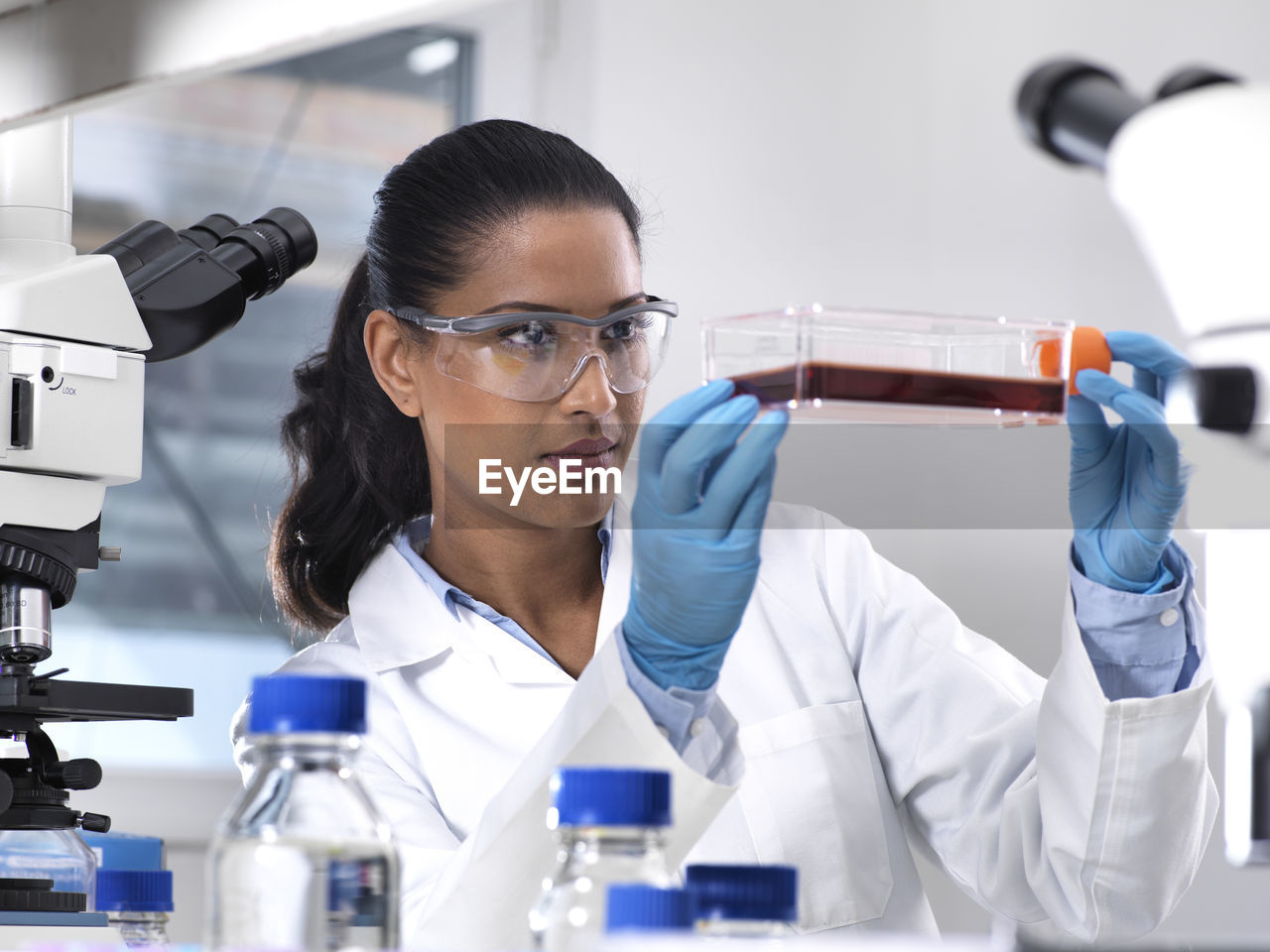 Biomedical research, female scientist viewing stem cells developing in a culture jar during an experiment in the laboratory