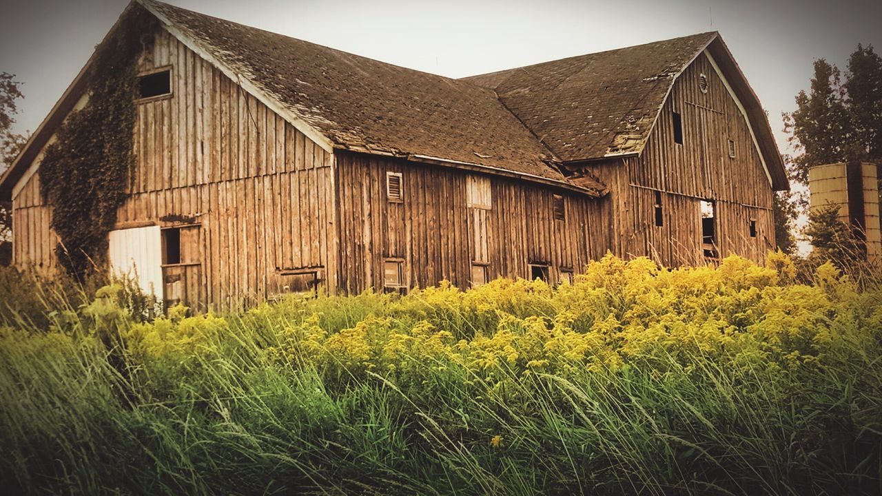 Low angle view of old barn in front of plants