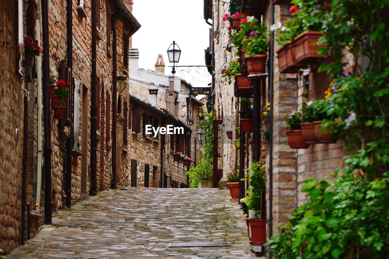 Narrow alley amidst buildings in city