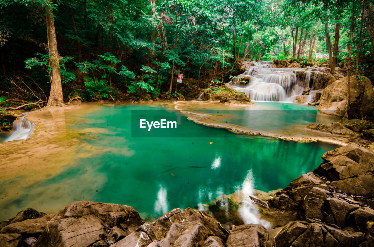 water, nature, tree, beauty in nature, body of water, plant, forest, scenics - nature, land, water feature, environment, river, tranquility, travel destinations, landscape, rock, stream, tranquil scene, wilderness, non-urban scene, travel, no people, jungle, waterfall, tourism, green, outdoors, idyllic, social issues, lagoon, day, woodland, reflection, tropical climate, rainforest, environmental conservation
