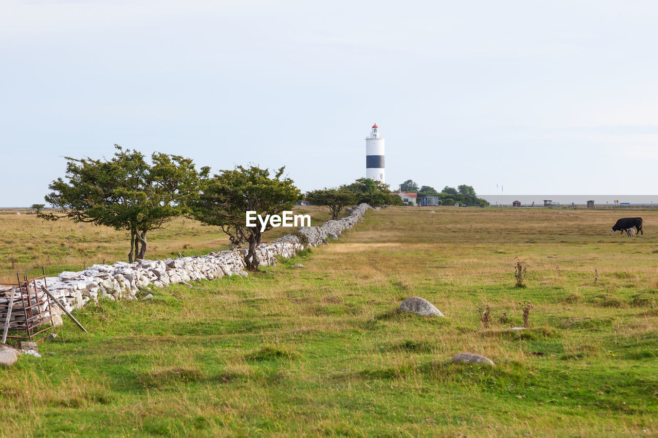 Mooreland with a lighthouse at Öland in sweden