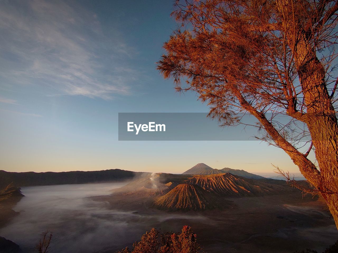 A trip up the hill to see the beauty of mount bromo tengger semeru, east java, indonesia