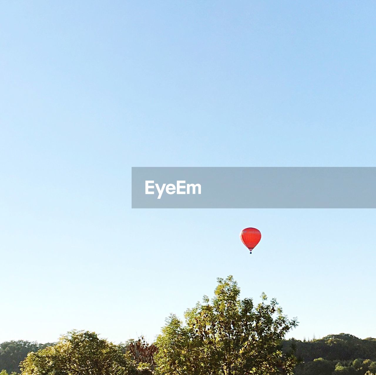 Low angle view of red hot air balloon and trees against clear sky on sunny day