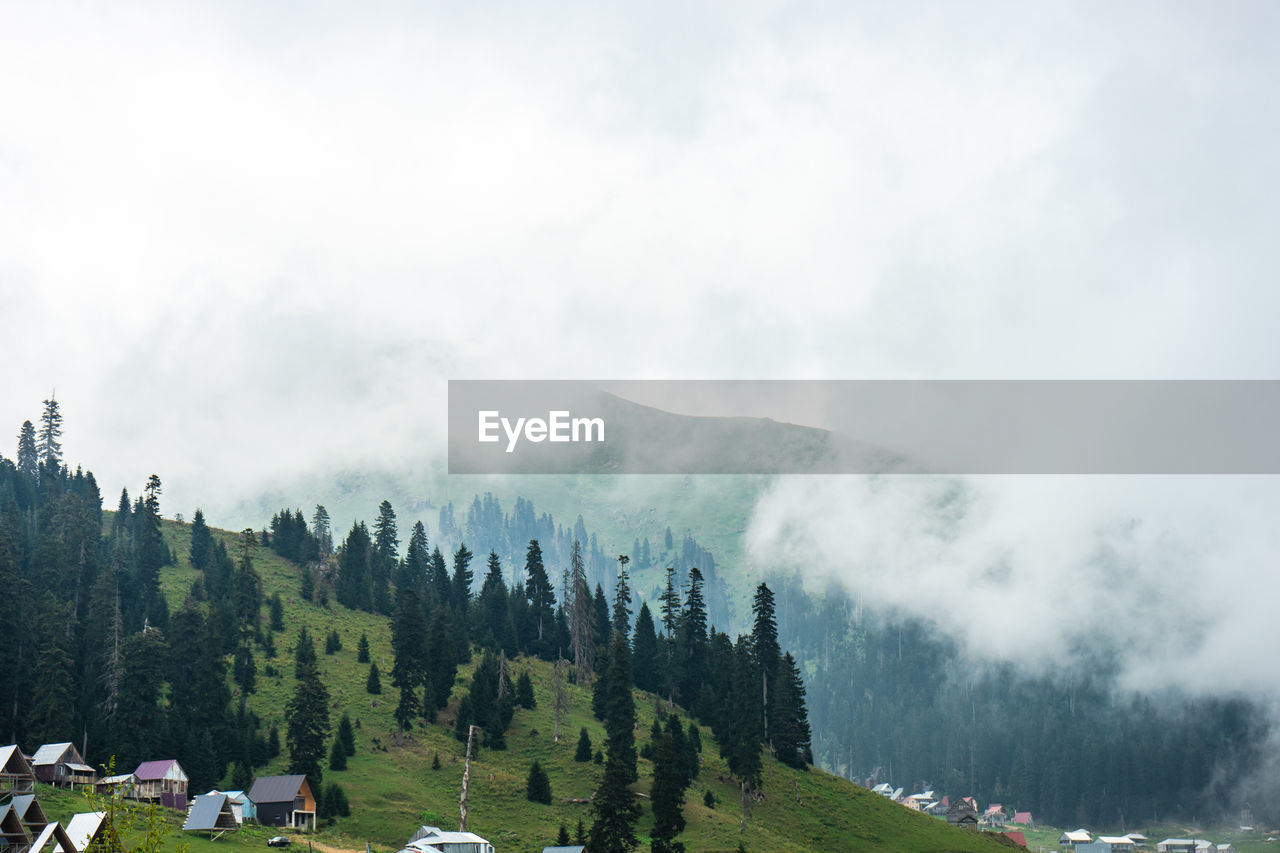 panoramic view of trees and mountains against sky