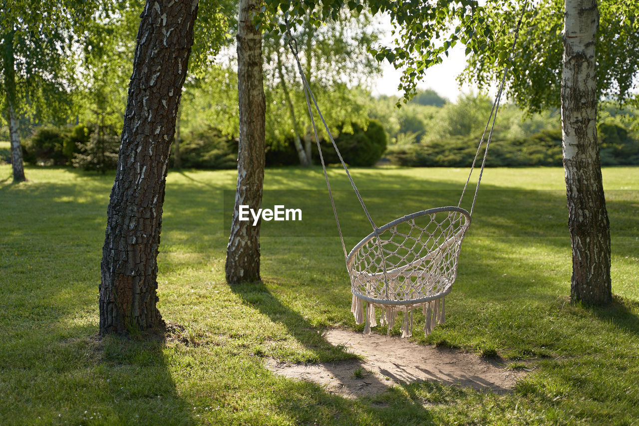 plant, tree, grass, nature, green, tree trunk, trunk, backyard, lawn, woodland, day, garden, land, sunlight, no people, shadow, tranquility, outdoors, growth, beauty in nature, park, field, yard, tranquil scene, sports, absence, landscape, swing, environment, park - man made space