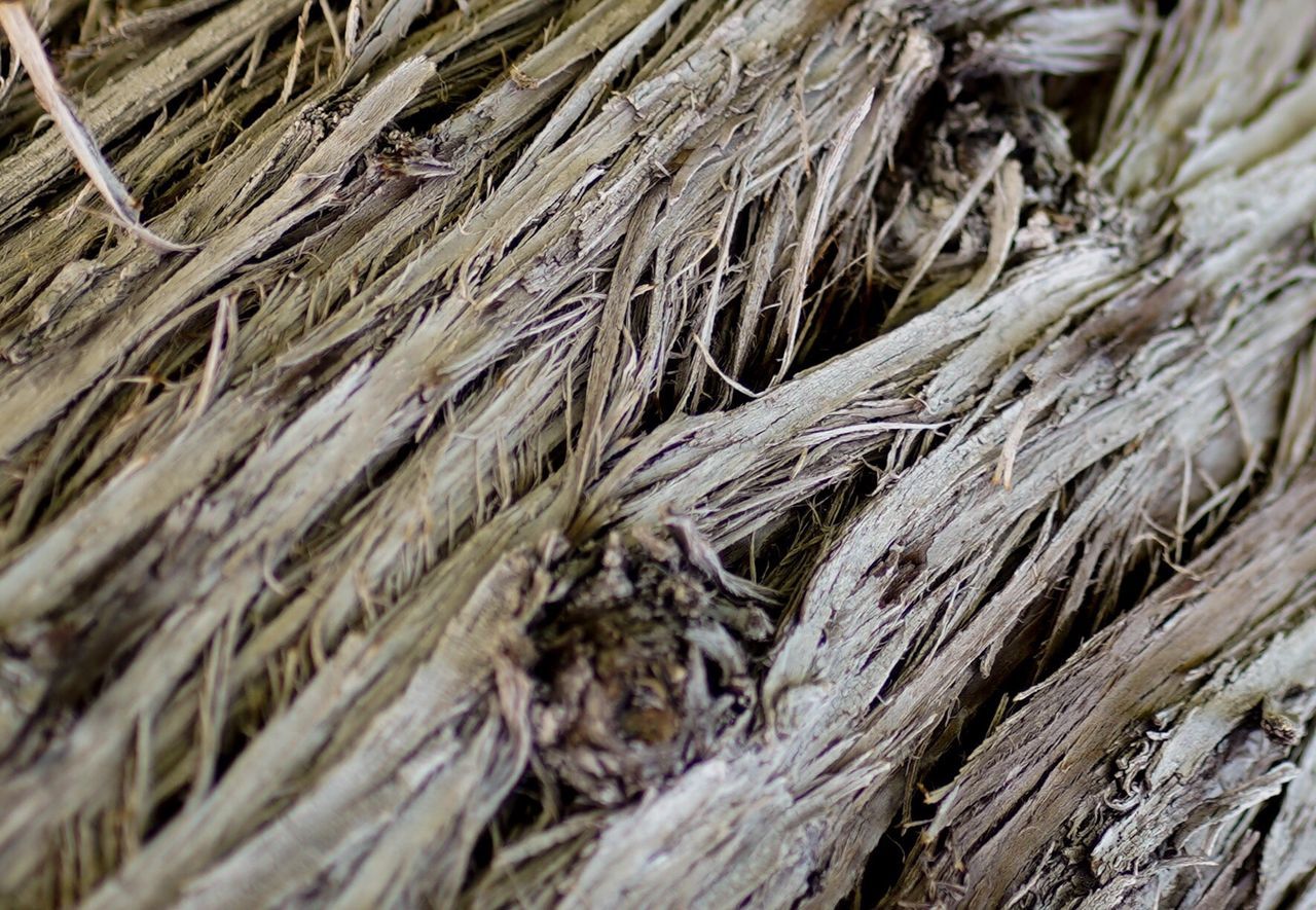 FULL FRAME SHOT OF DEAD TREE TRUNK