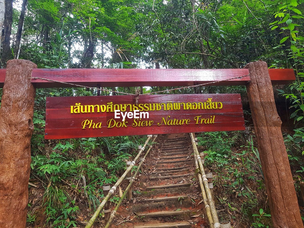 INFORMATION SIGN ON TREE TRUNK