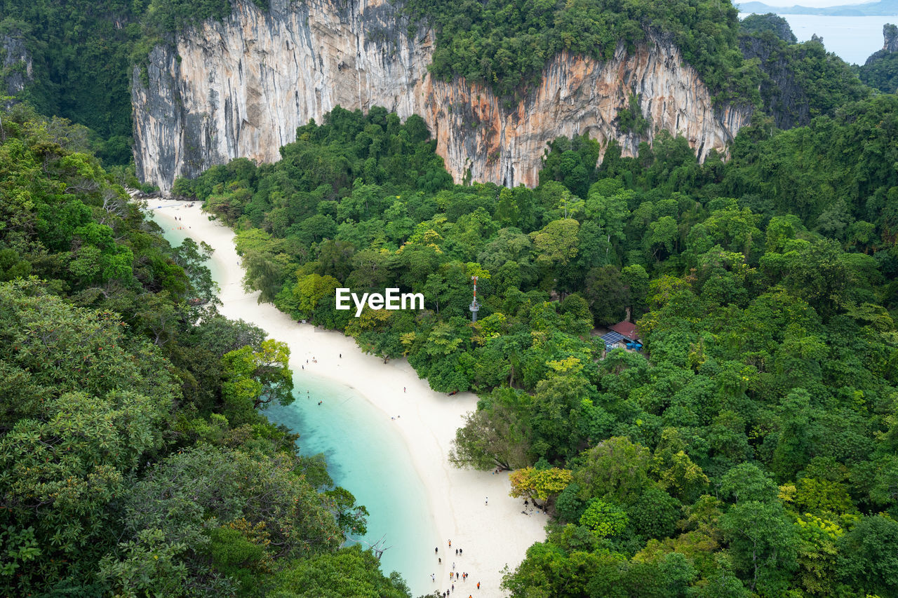 SCENIC VIEW OF WATERFALL AMIDST TREES