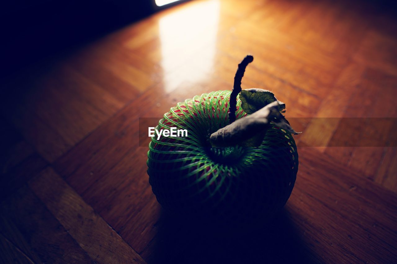 CLOSE-UP OF BIRD ON WOODEN FLOOR