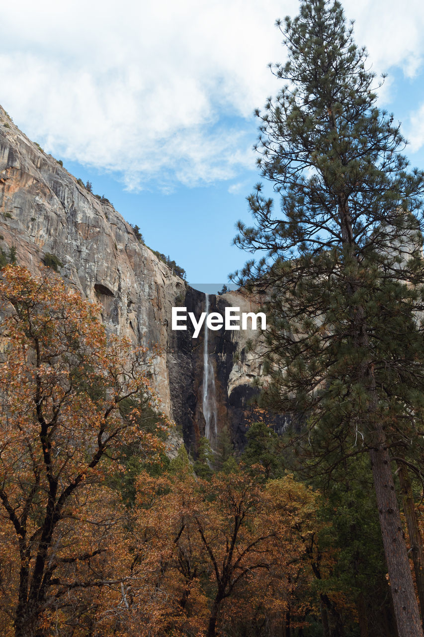 Low angle view of trees and rocks against sky