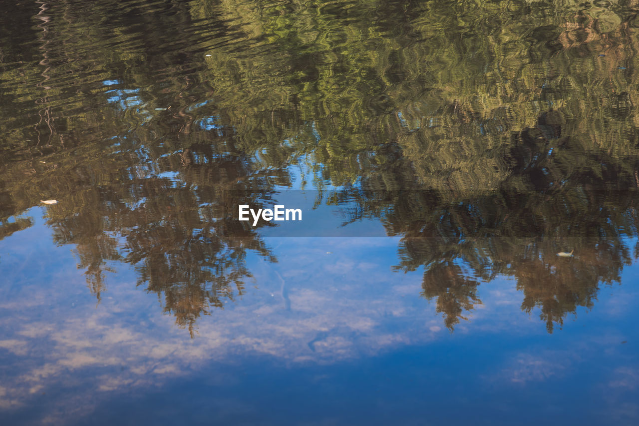 REFLECTION OF TREES IN LAKE