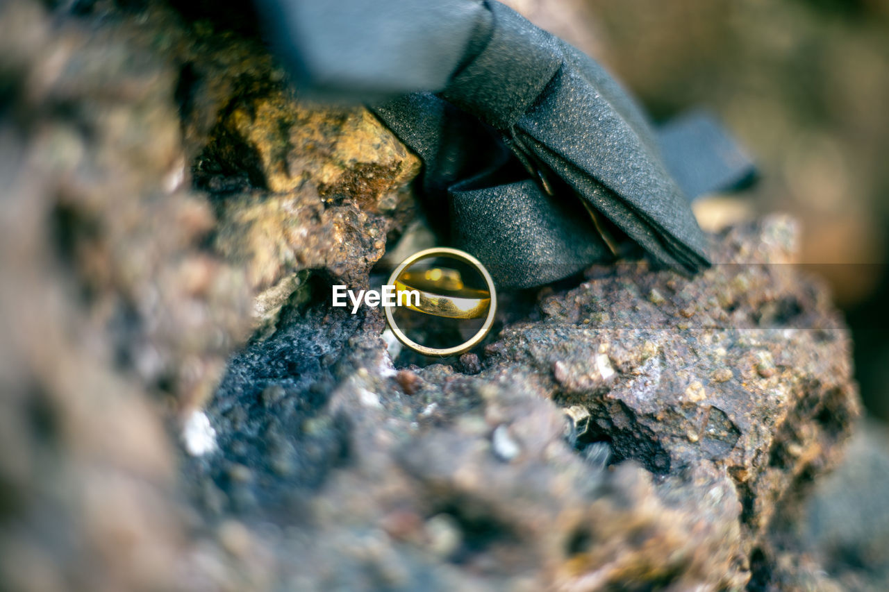 Close-up of wedding rings and tied bow on rock
