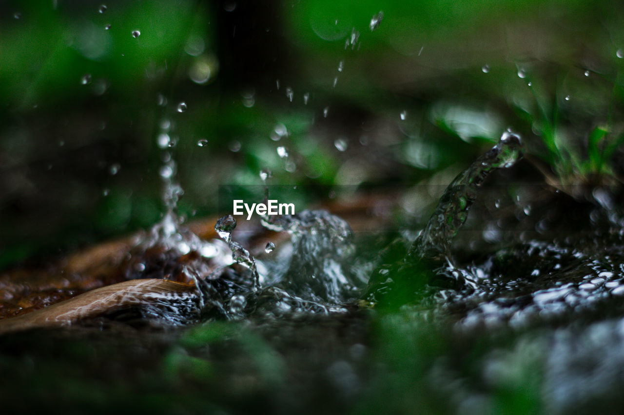 CLOSE-UP OF WATER DROP ON LEAF