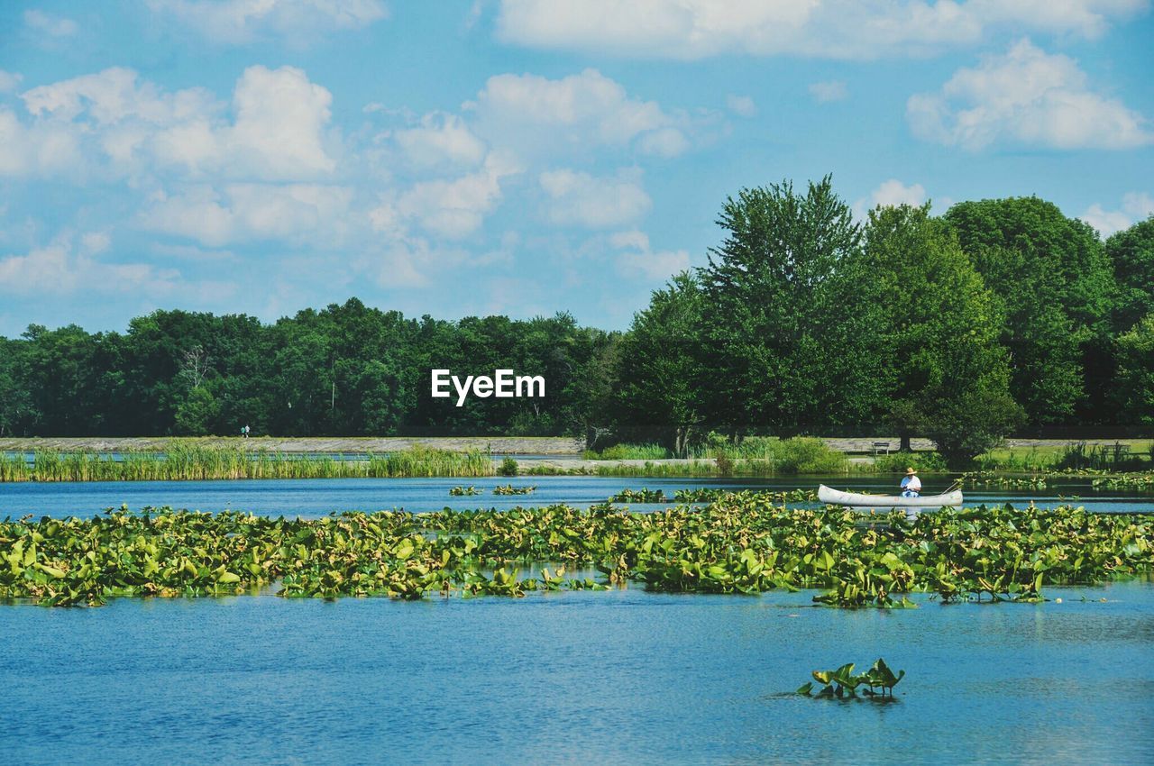 SCENIC VIEW OF LAKE AND TREES AGAINST SKY