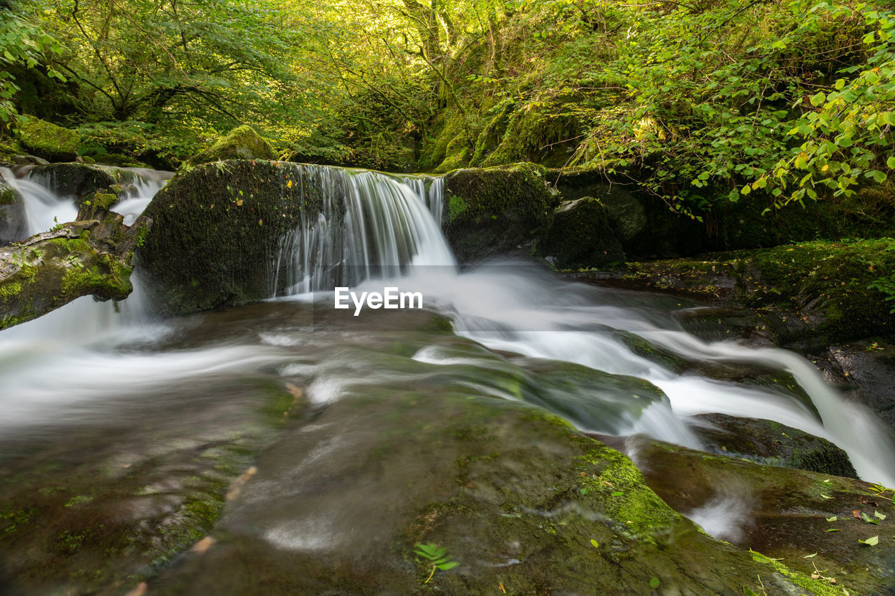 SCENIC VIEW OF WATERFALL