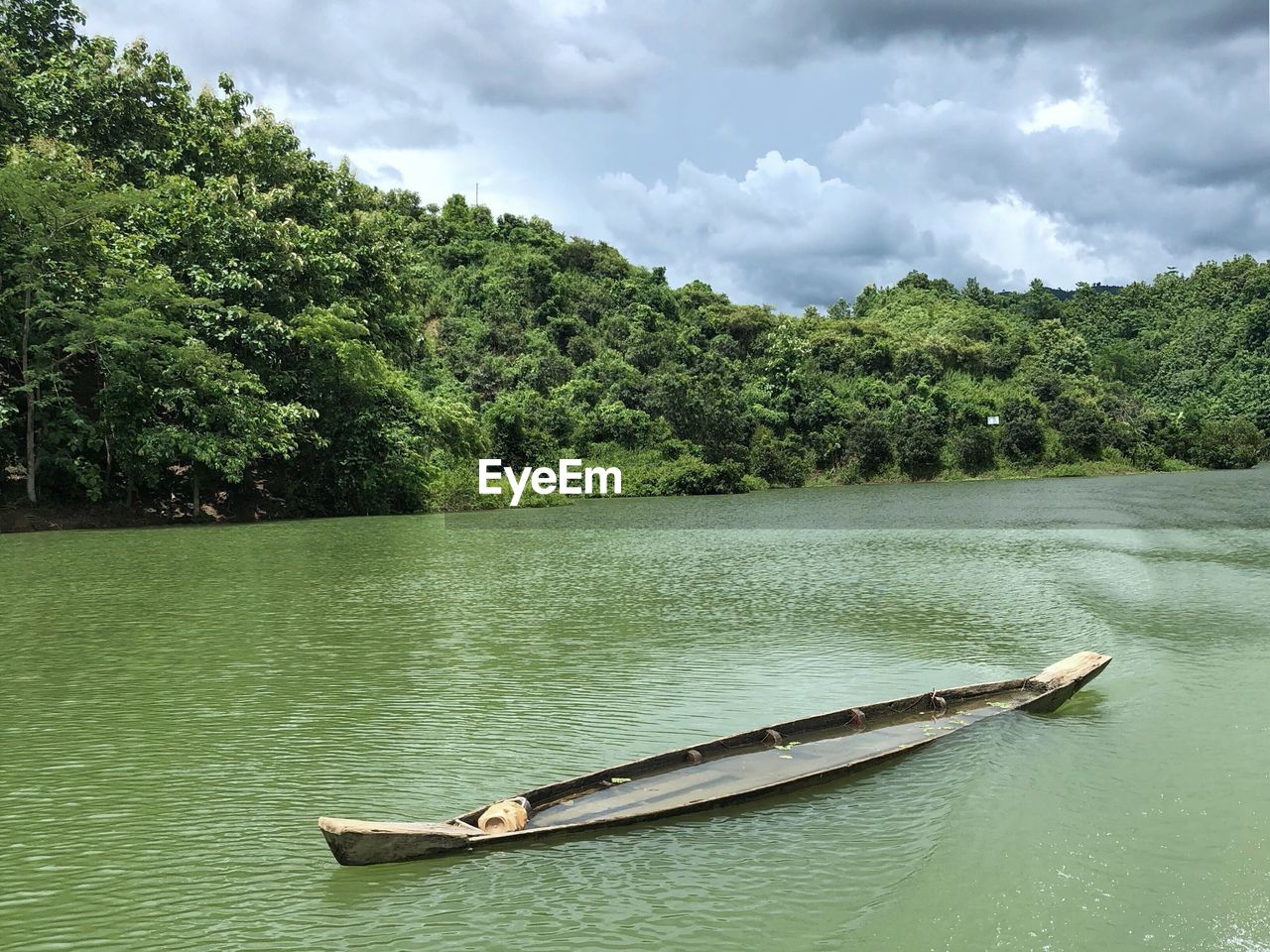 Green at kaptai lake, rangamati