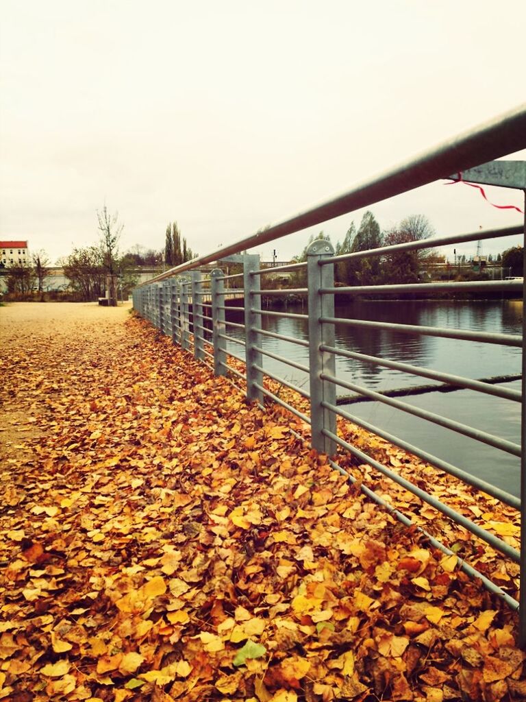 SURFACE LEVEL OF RAILROAD TRACKS IN AUTUMN