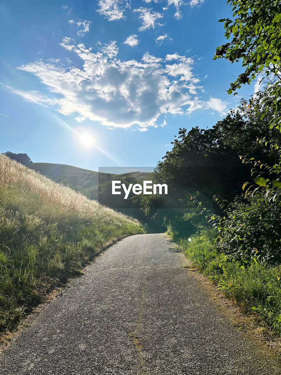 nature, sky, plant, road, grass, environment, hill, landscape, sunlight, rural area, cloud, the way forward, tree, morning, beauty in nature, scenics - nature, land, transportation, no people, footpath, tranquility, outdoors, field, horizon, autumn, summer, blue, rural scene, travel, meadow, green, non-urban scene, day, forest, tranquil scene, vanishing point, dirt road, diminishing perspective, infrastructure, dirt, leaf, ridge, idyllic, country road