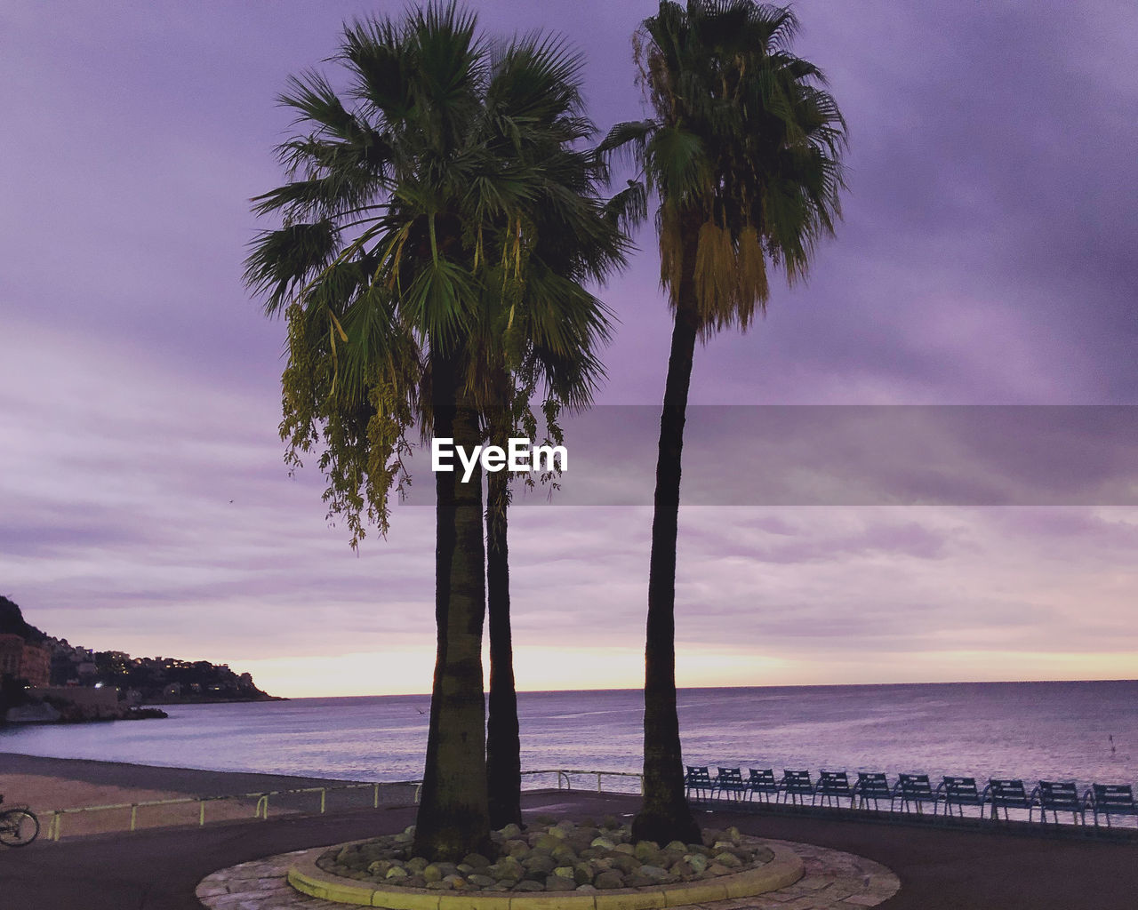 SCENIC VIEW OF PALM TREES ON BEACH AGAINST SKY