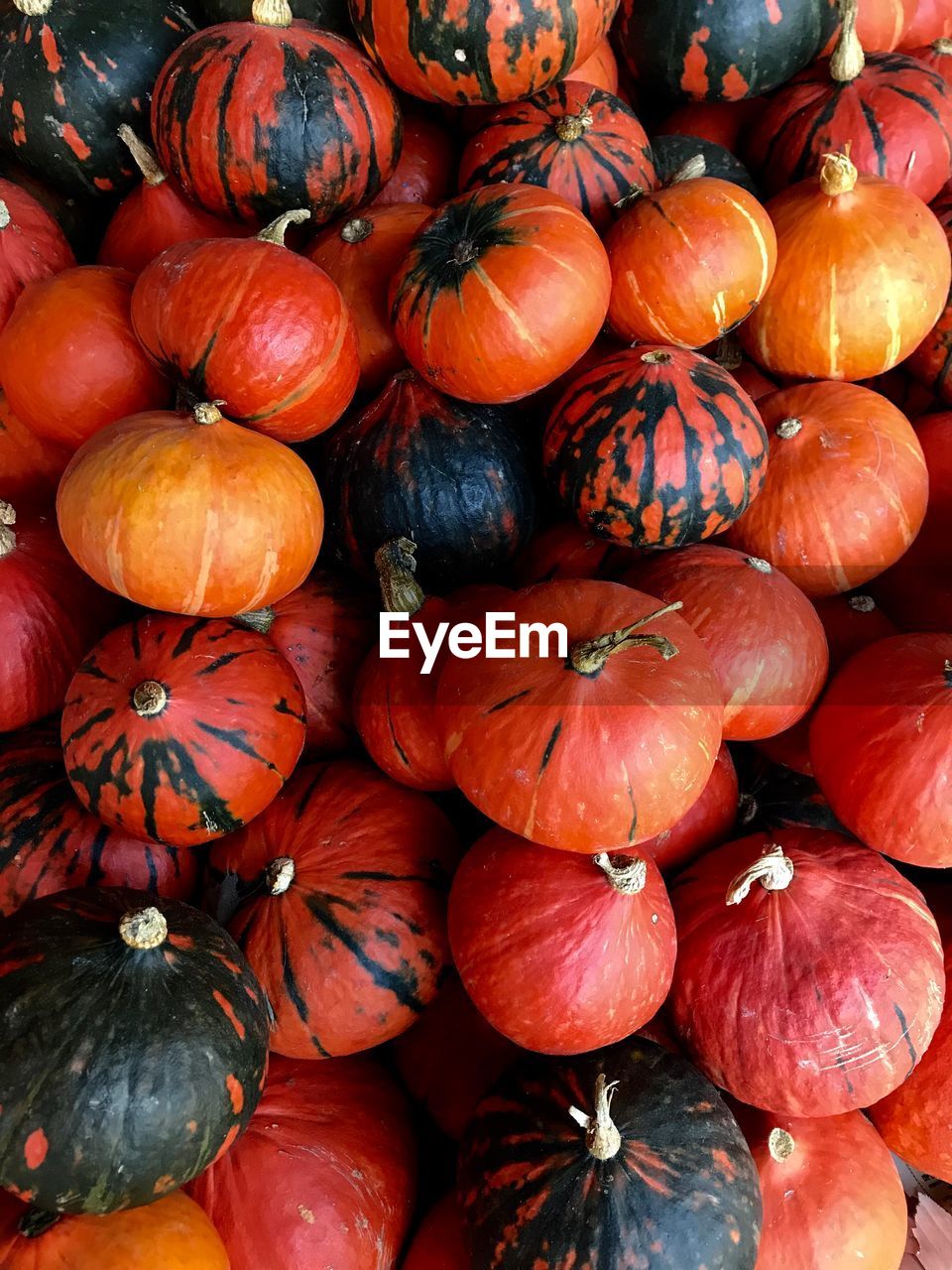 FULL FRAME SHOT OF PUMPKINS