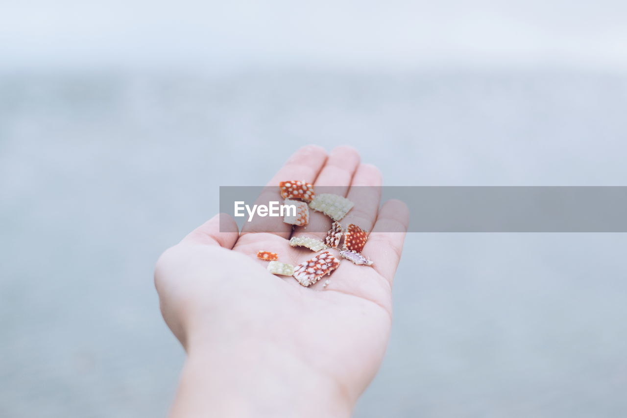 Cropped hand of person holding stones against sky