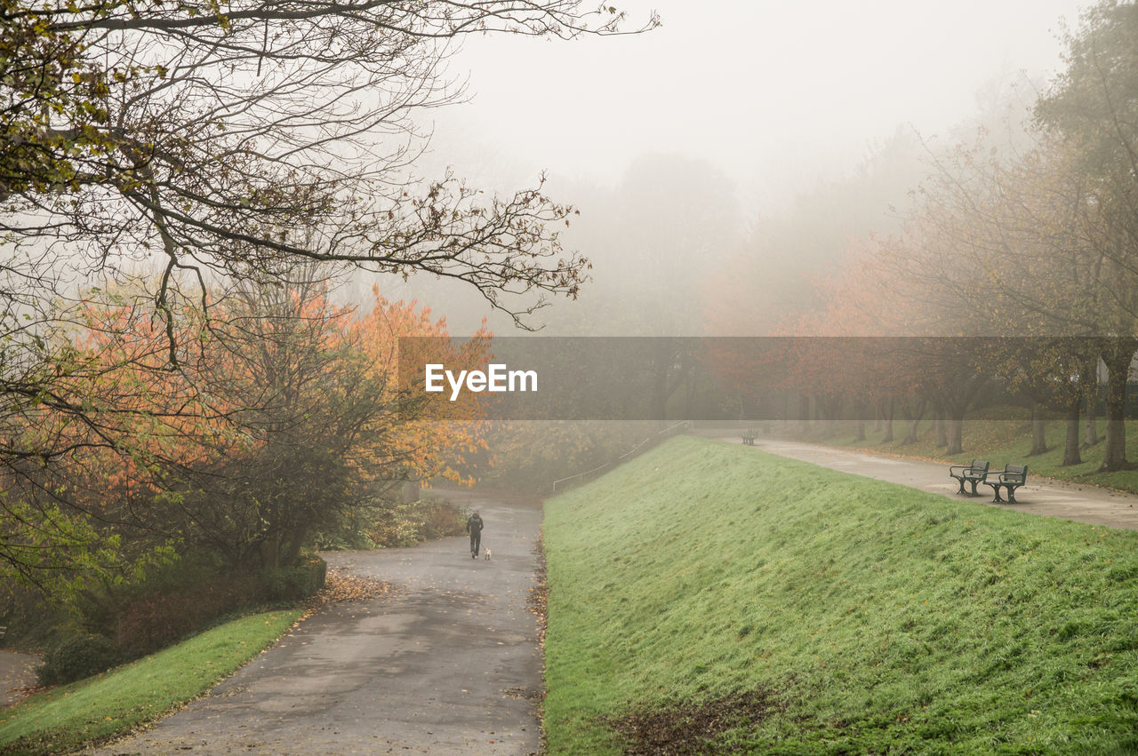 High angle view of person with dog by autumn trees during foggy weather