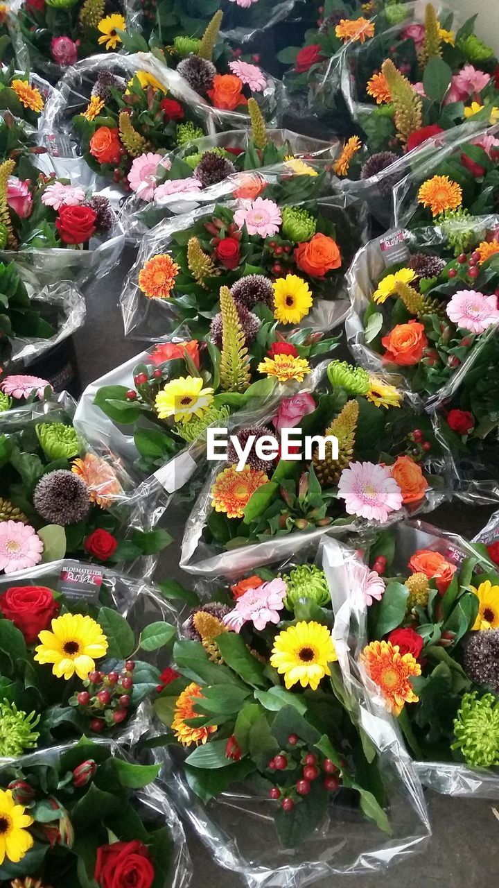 FULL FRAME OF FLOWERS IN MARKET