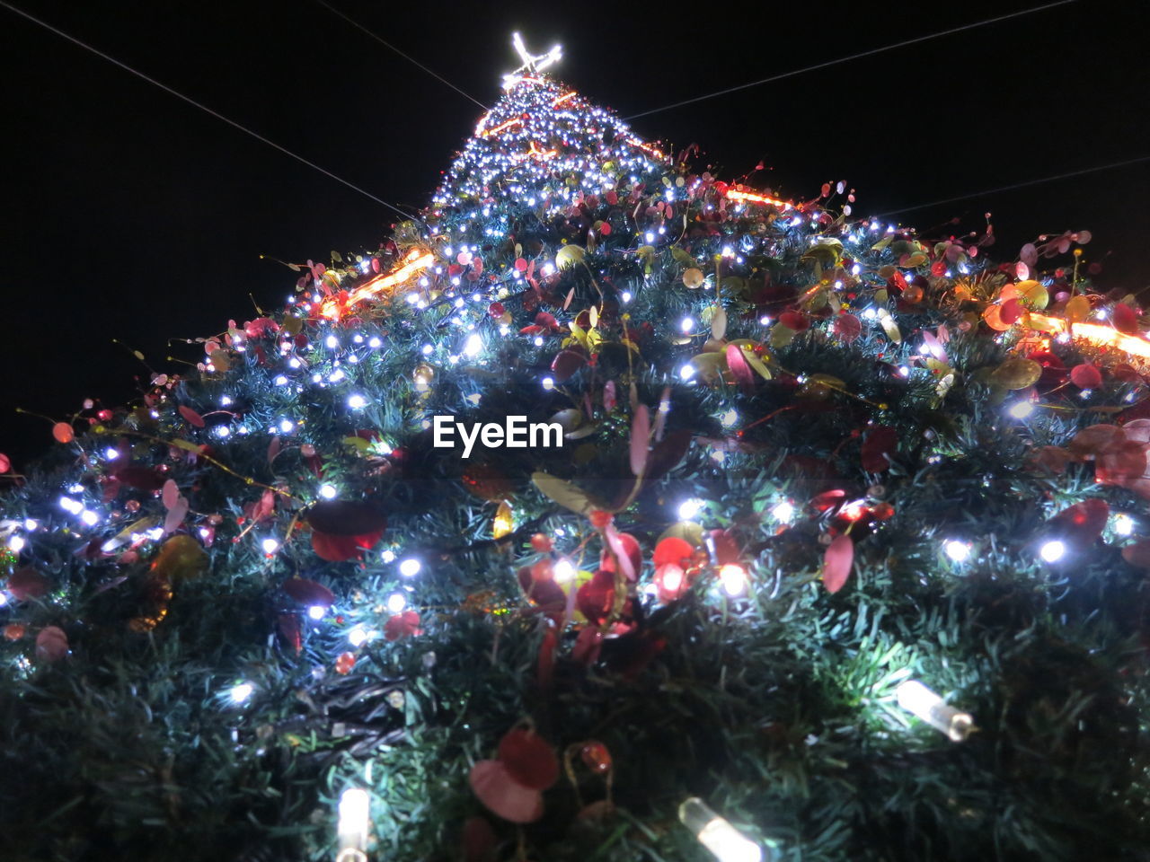 LOW ANGLE VIEW OF CHRISTMAS TREE AGAINST SKY AT NIGHT