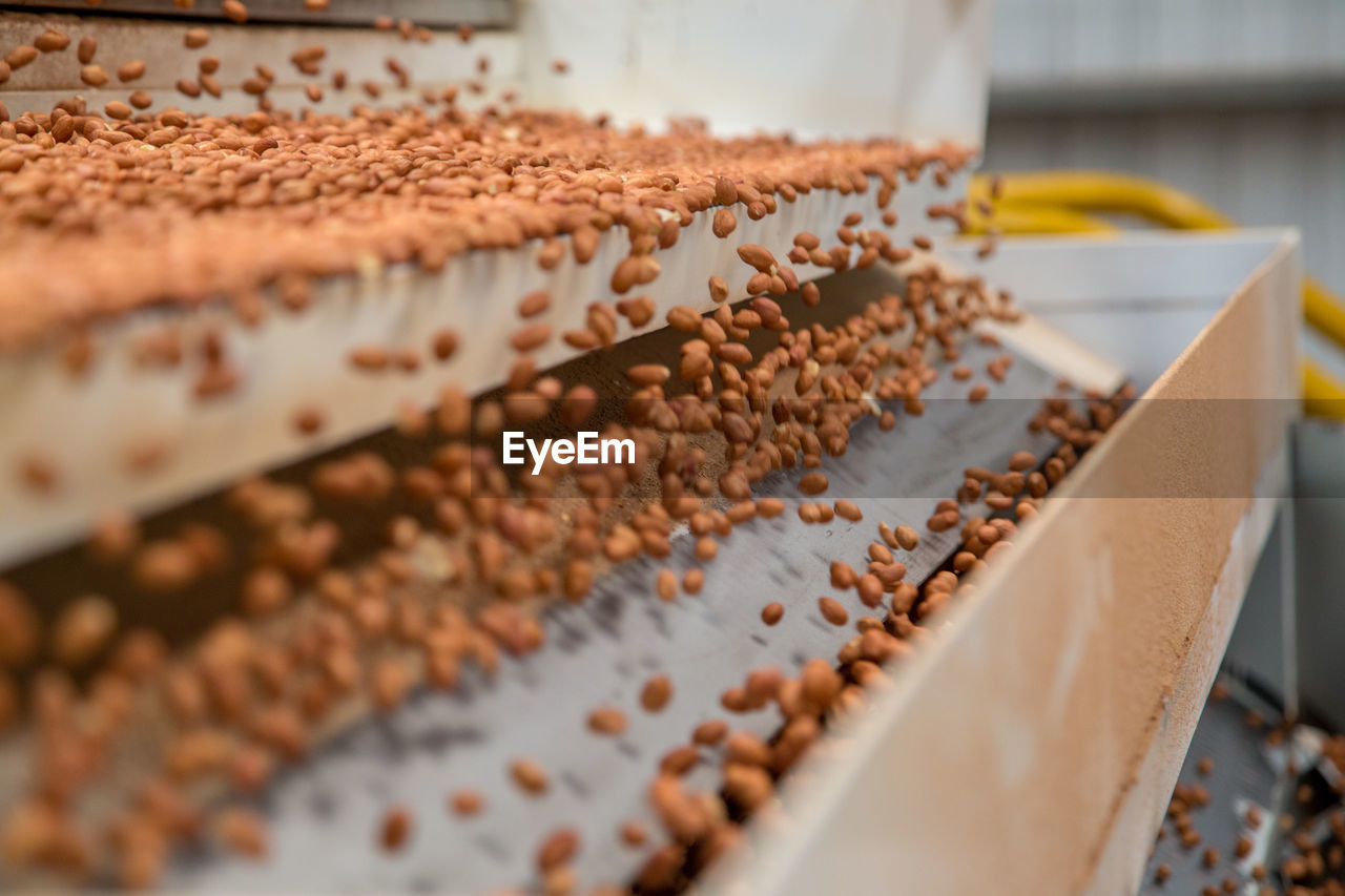 CLOSE-UP OF CHOCOLATE CAKE ON TABLE