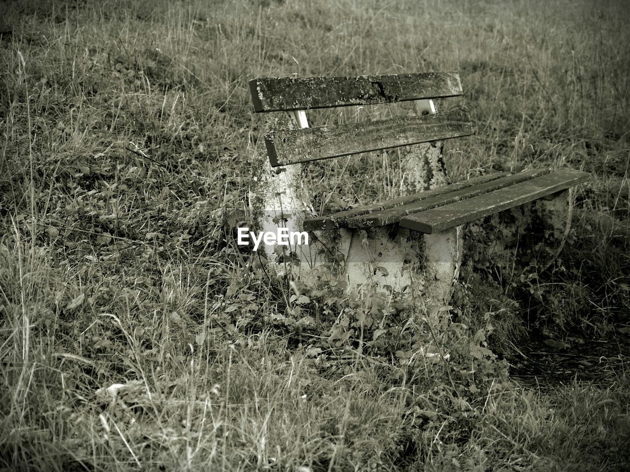 Weathered bench on field