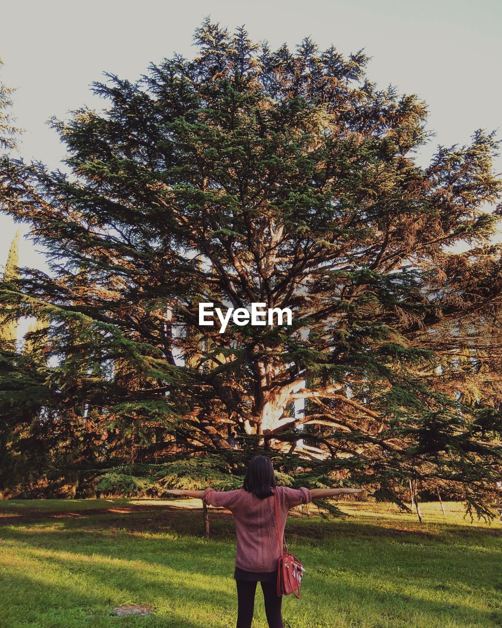 REAR VIEW OF MAN STANDING BY TREE