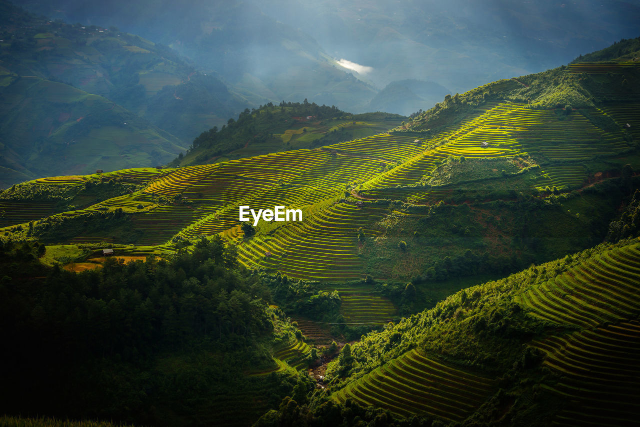 SCENIC VIEW OF RICE FIELD AGAINST MOUNTAIN