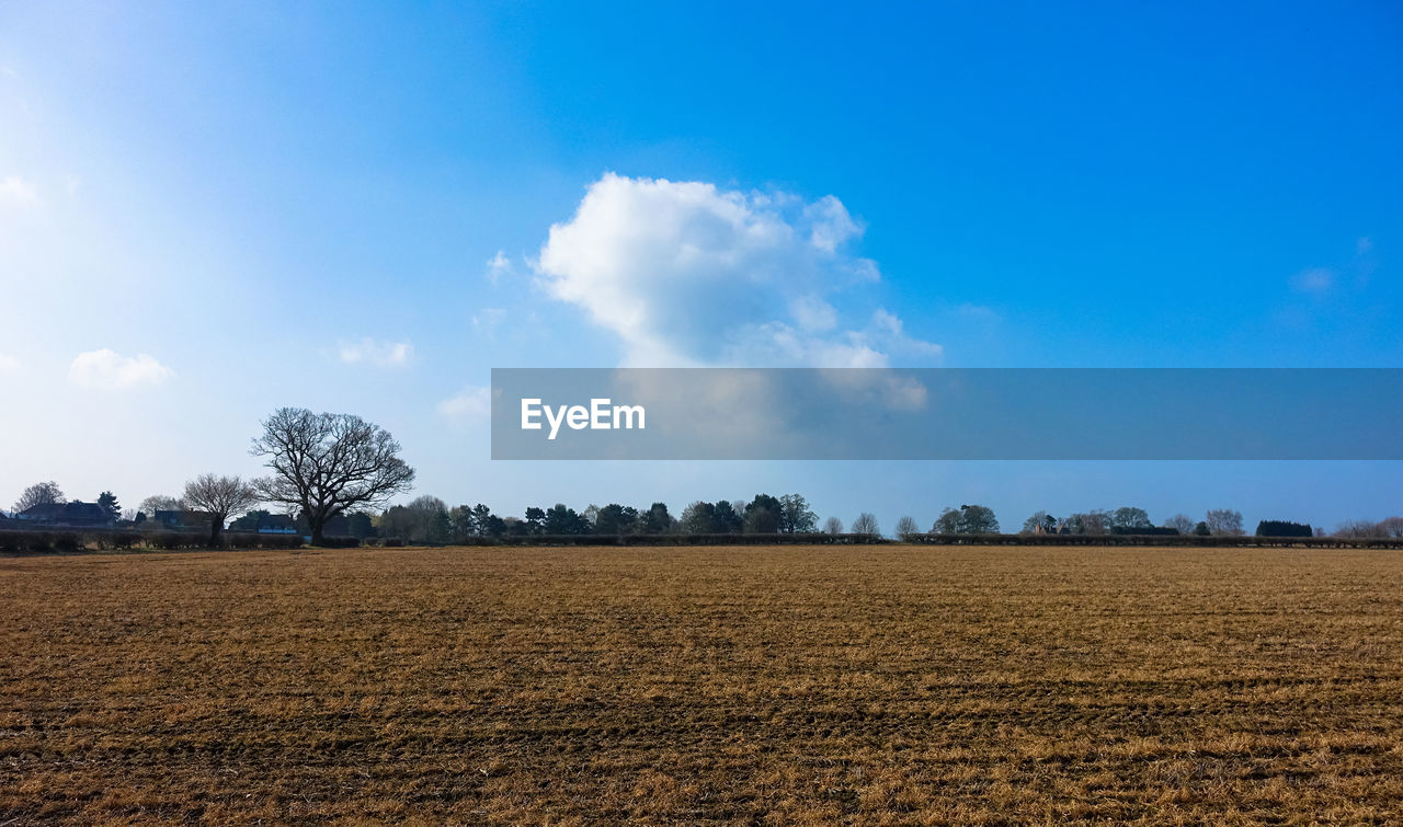 Scenic view of field against blue sky