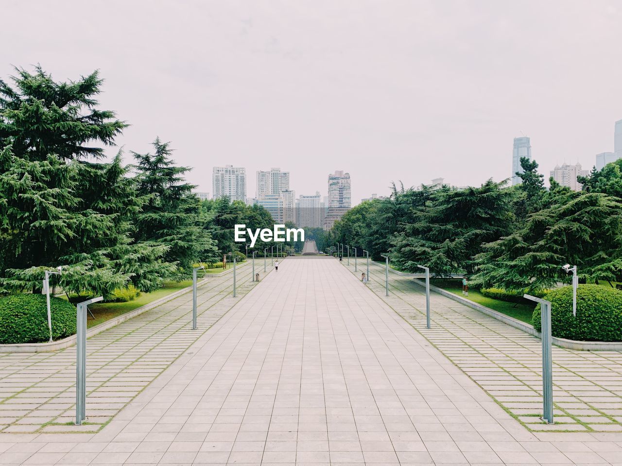 Footpath amidst trees and buildings in city against sky