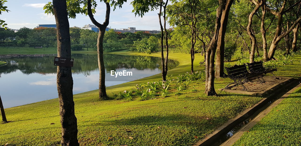 SCENIC VIEW OF LAKE