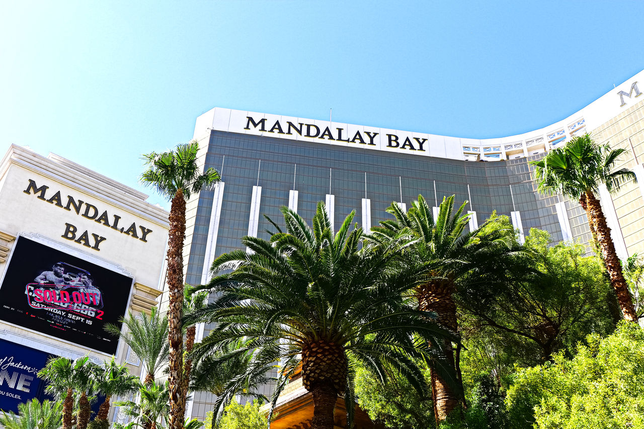 LOW ANGLE VIEW OF TEXT ON PALM TREE AGAINST SKY